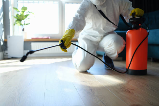 Wasp Removal Services in Inglenook, CT