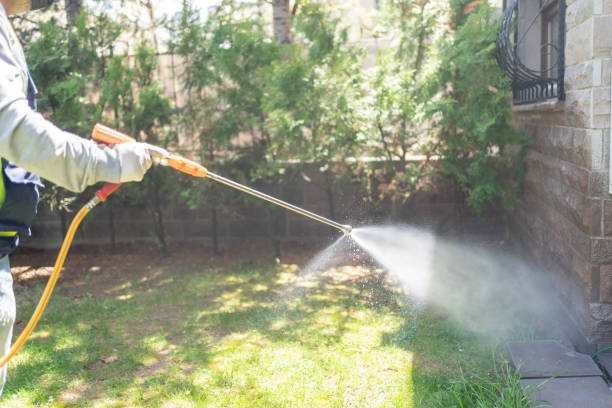 Best Ant Control Services  in Inglenook, CT