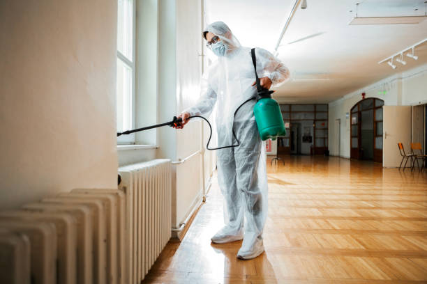 Best Residential Pest Control  in Inglenook, CT